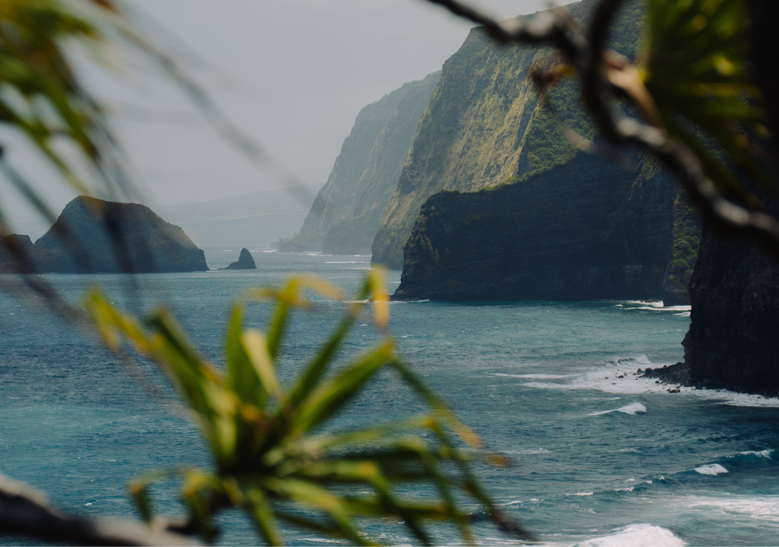 Hawaii Ocean